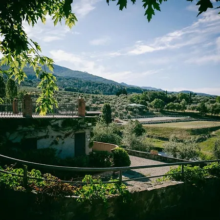 Fattoria Degli Usignoli